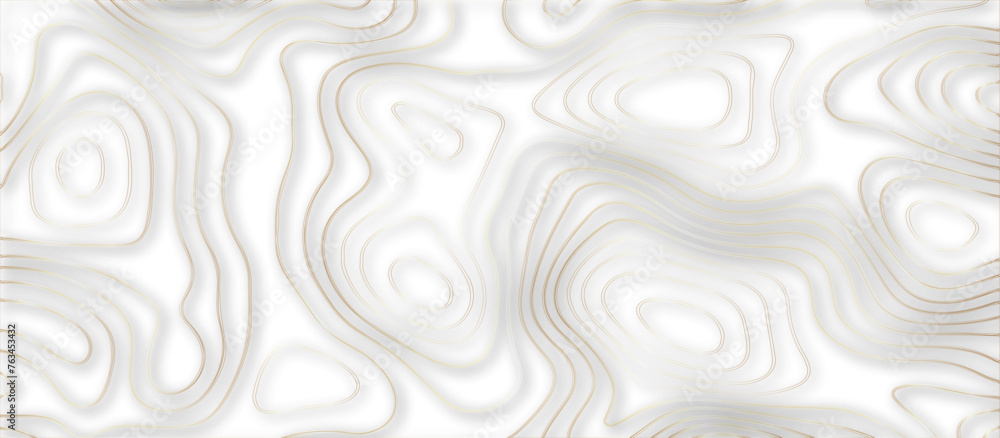 Abstract 3d wave paper curved reliefs background .gradient multicolor wave curve lines banner background design .3d topographic contours map background .Vector 3d geographic contour map. Abstract 3d wave paper curved reliefs background .gradient multicolor wave curve lines banner background design .3d topographic contours map background .Vector 3d geographic contour map.