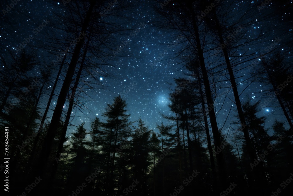 Fototapeta premium The night sky with stars and trees in the foreground