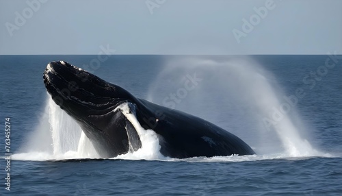 A Right Whale Spouting Water From Its Blowhole Upscaled 3 photo