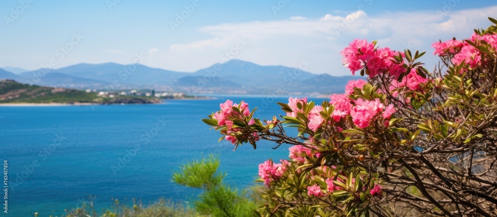 Obraz premium Tree with blossoming flowers by ocean and mountains