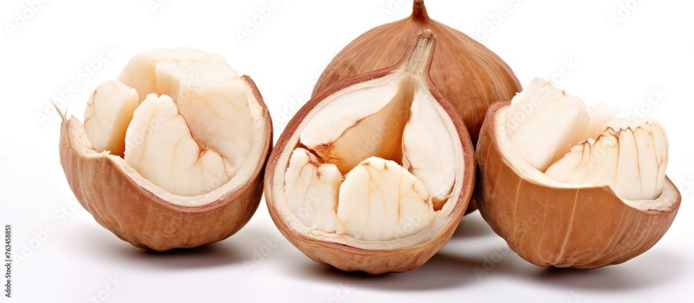 Fototapeta premium Nut shell with peeled aleurites moluccanus on white background