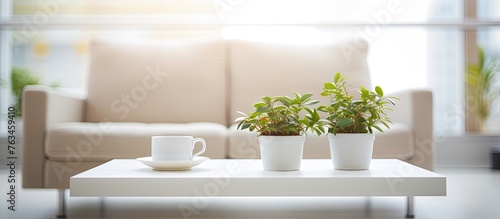 Three plants and a coffee cup on a coffee table