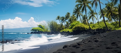 Black sand beach with palm trees and waves