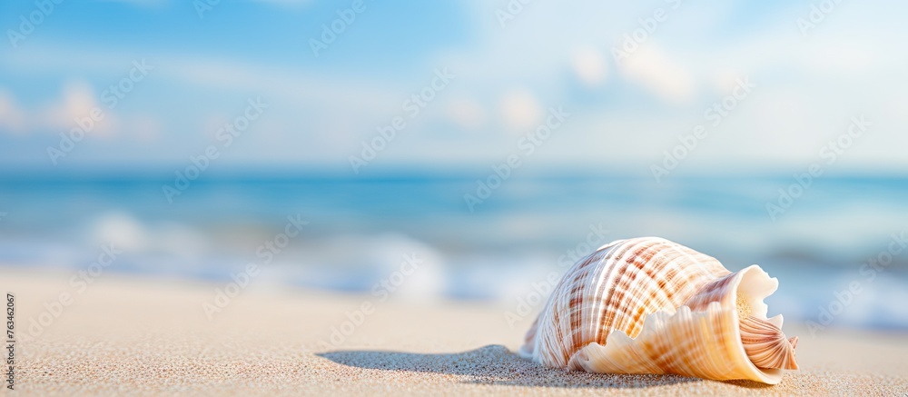 Arafed shell on the sandy shore with ocean waves in the background - obrazy, fototapety, plakaty 