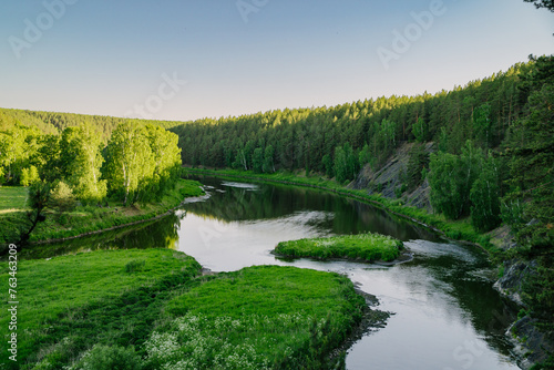 Tranquil River in Verdant Summer Woodlands