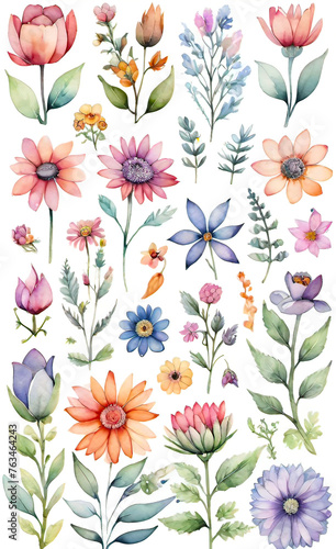 Watercolor illustration of a set of flowers for decoration  squares with flowers  seamless pattern for fabric print  wallpaper  line art  doodle  cartoon pattern  smartphone backgrounds 