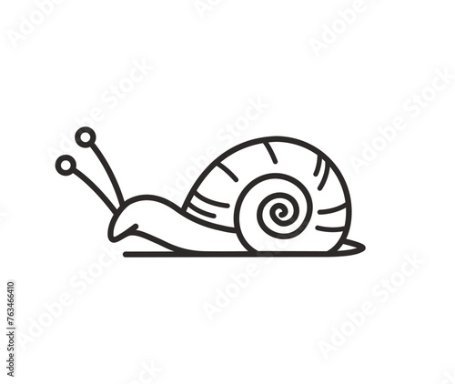 Thin line snail icon vector logo illustration