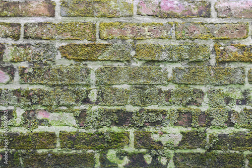 Red brick wall with moss background texture