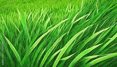 green grass natural background texture high resolution 3d rendering
