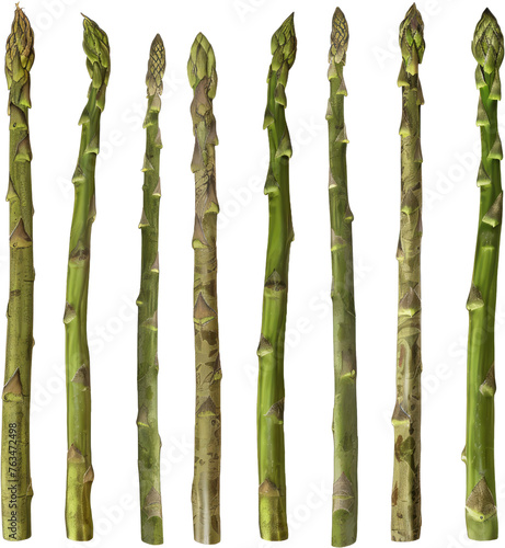 Fresh asparagus bunch standing upright  cut out transparent