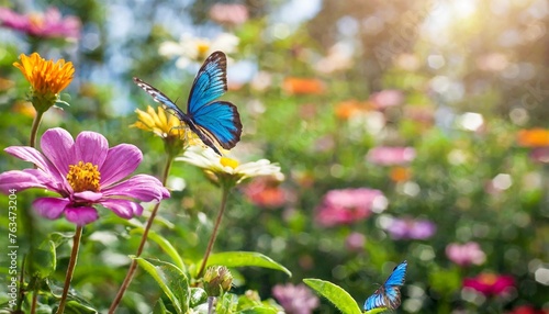 a bokeh background of a whimsical garden with colorful butterflies and dragonflies