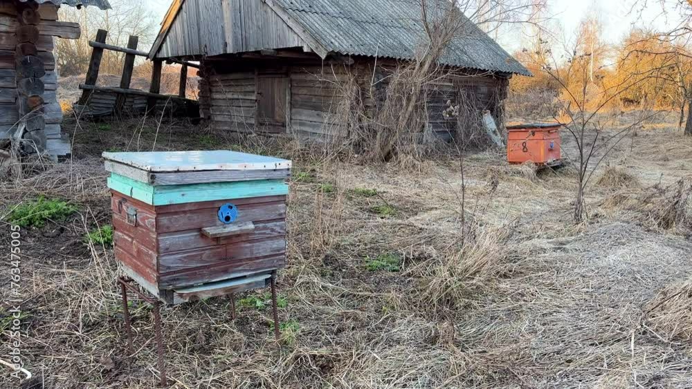 Apiary. Honey production bee farm. Beekeeping in rural. Wooden Beehives in Apiary. Collection of Hives with Colonies of Bees Kept for Honey. Hives of bees. Beehives in countryside. Bee keeping Honey Apiary. Honey production bee farm. Beekeeping in rural. Wooden Beehives in Apiary. Collection of Hives with Colonies of Bees Kept for Honey. Hives of bees. Beehives in countryside. Bee keeping Honey