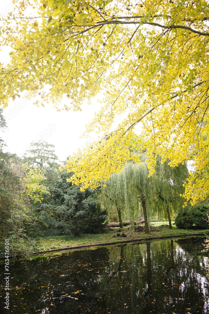 Fototapeta premium Vibrant and tranquil nature in Denmark