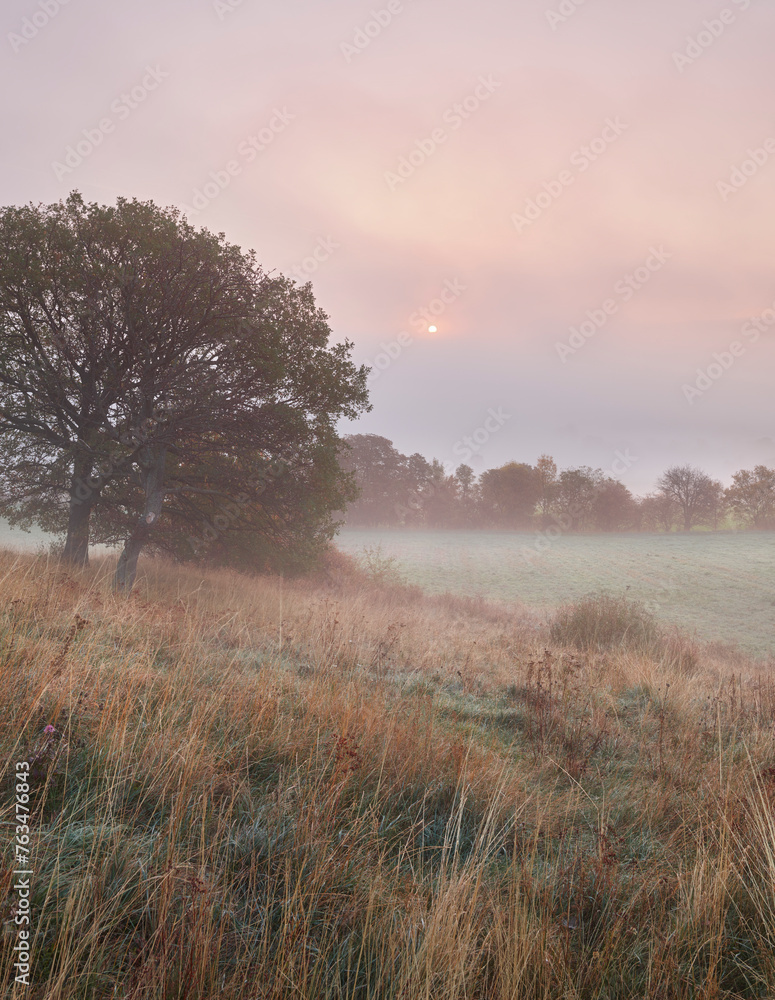 Morgennebel, Hohe Wand, Niederösterreich, Österreich