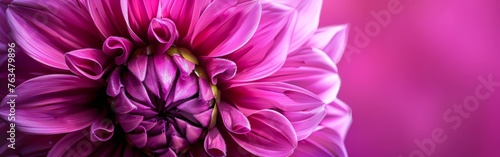 Close-Up of Purple Flower With Blurry Background