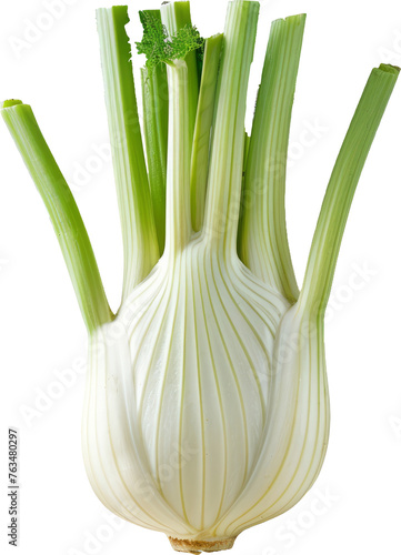 Fresh fennel bulbs with green stalks, cut out transparent photo