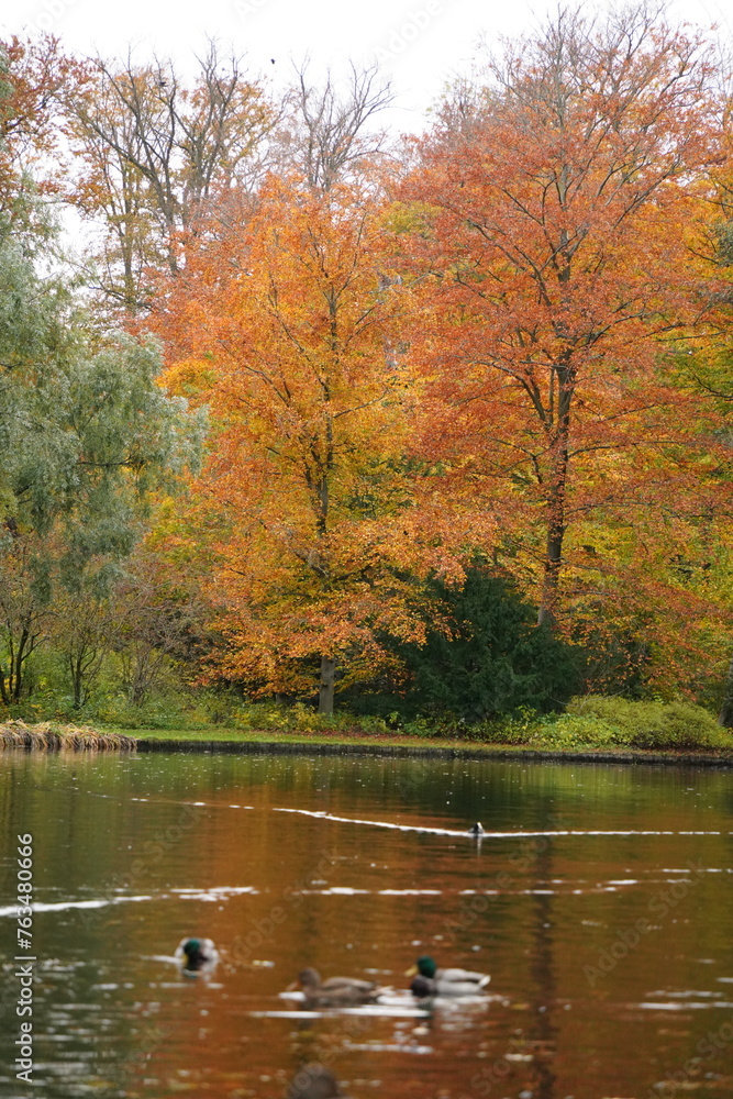 Vibrant and tranquil nature in Denmark
Vibrant and tranquil nature in Denmark