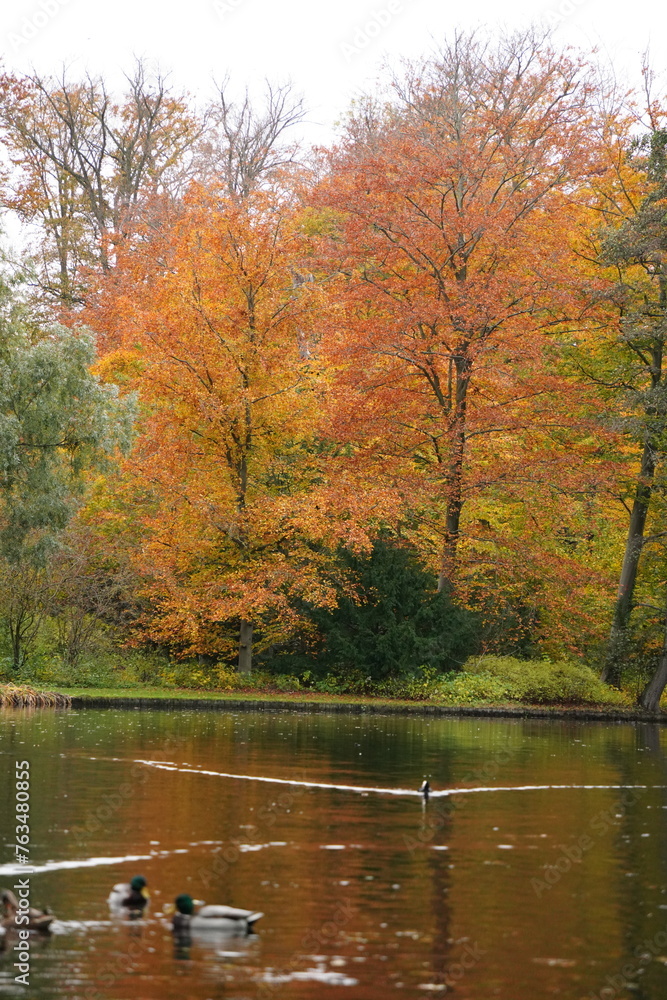 Vibrant and tranquil nature in Denmark
Vibrant and tranquil nature in Denmark