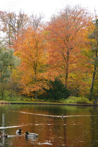 Photography Vibrant and tranquil nature in Denmark