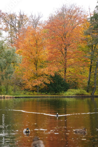 Photography Vibrant and tranquil nature in Denmark