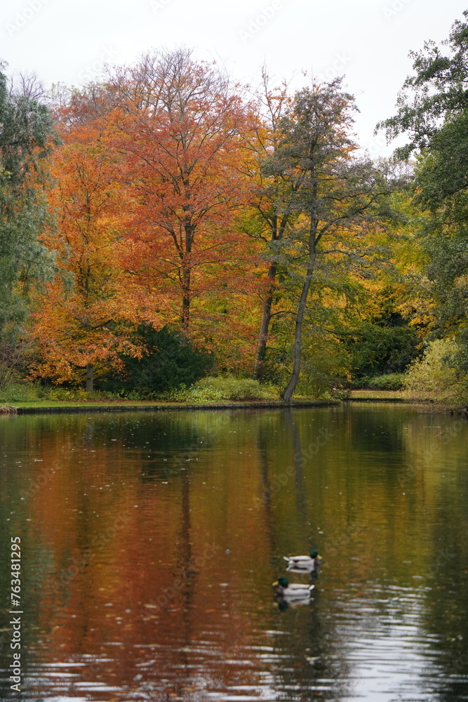 Obraz premium Vibrant and tranquil nature in Denmark 