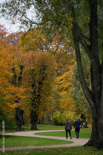 Photography Vibrant and tranquil nature in Denmark