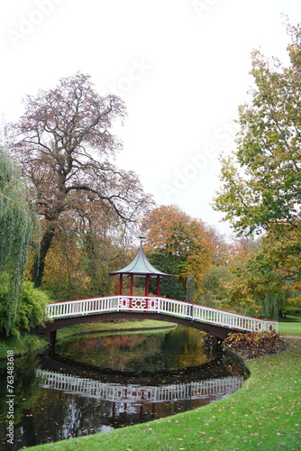 Photography Vibrant and tranquil nature in Denmark