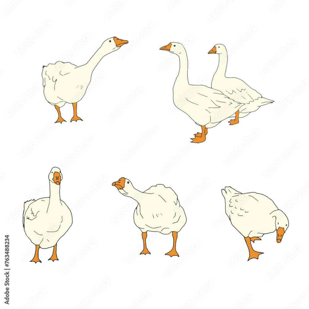 Set of yellow geese. Vector icon illustration of cute farm goose domestic ducks.