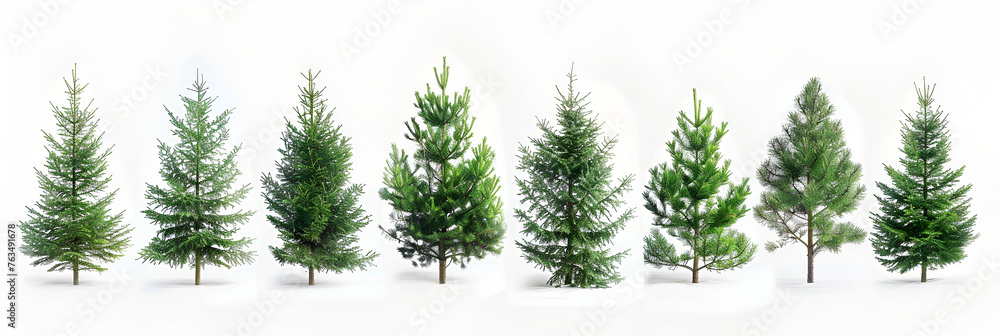 Set of 7 different gorgeous natural Christmas tree Close-Up Of Christmas Tree in Tokyo, Japan. Decorated Christmas tree home background.  Happy Holidays, Generative Ai