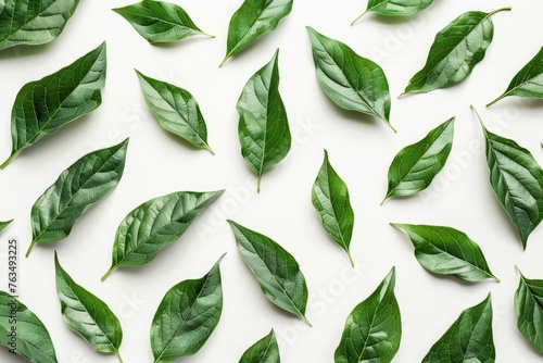 Collection of vibrant green leaves spread out on a clean white background