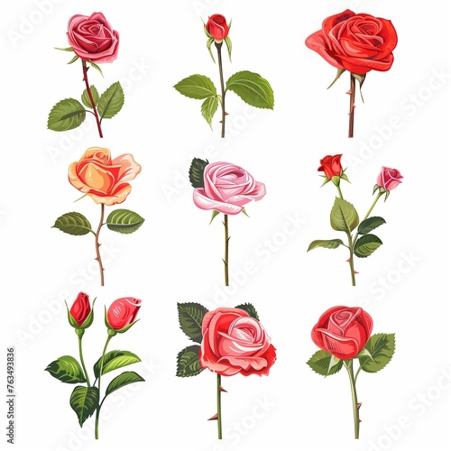 Assorted Elegant Roses Collection for Romantic Occasions and Decorative Design.