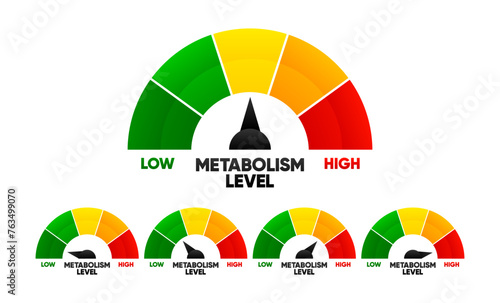 Metabolism Level scale. Control health concept. Gauge indicates the low and high level of metabolism. Vector Illustration.
