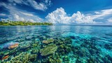 The world's largest coral reef consists 
