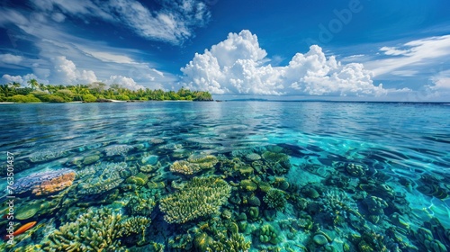 The world's largest coral reef consists  photo