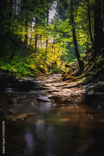 waterfall, water, nature, cascade, river, forest, stream, landscape, falls, rock, fall, green, stone, creek, tree, park, waterfalls, jungle, moss, spring, travel, natural, rainforest, tropical, scenic © artem