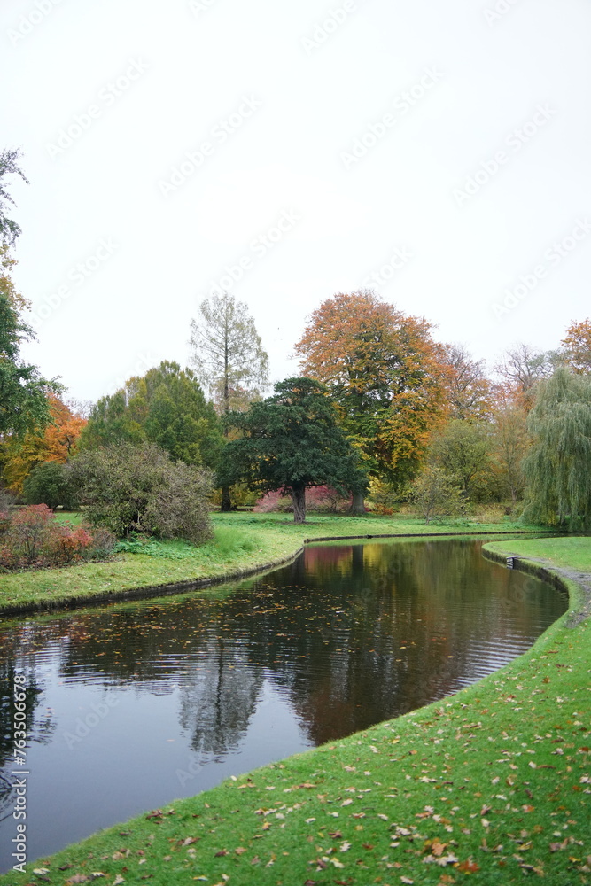 Vibrant and tranquil nature in Denmark
Vibrant and tranquil nature in Denmark