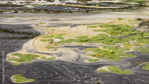 Wallpaper Mural Environmental disaster. Lilies in the river are polluted by industrial waste. Torontodigital.ca