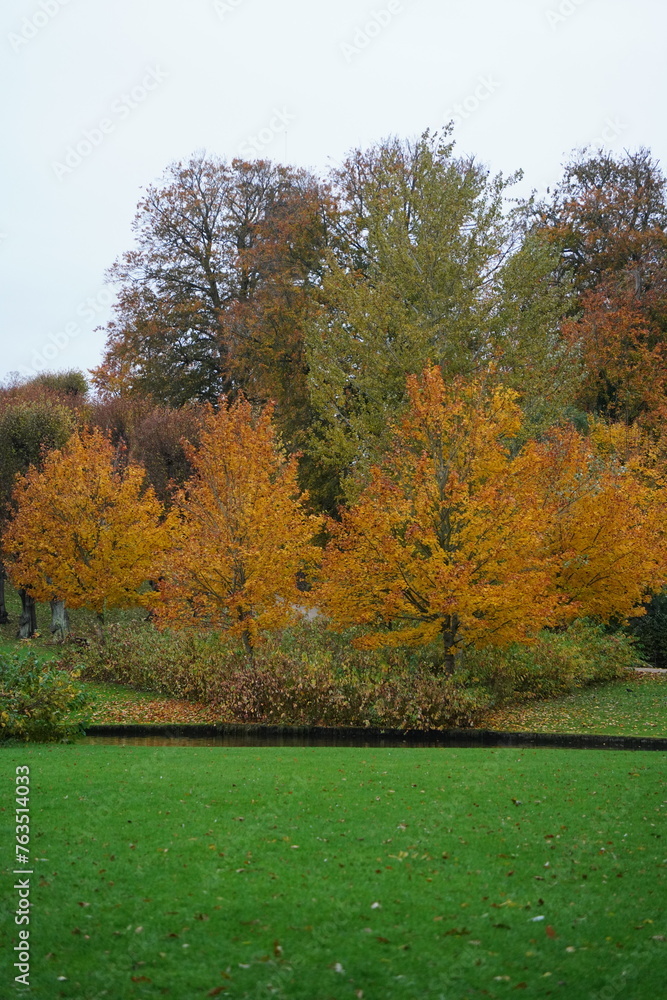 Vibrant and tranquil nature in Denmark