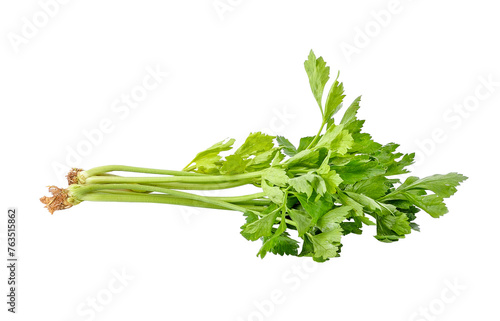 Fresh green celery transparent png