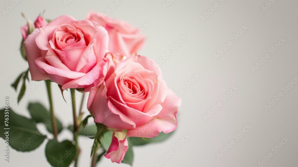 Pink roses bloom with elegance and beauty in a romantic botanical display Pink roses bloom with elegance and beauty in a romantic botanical display