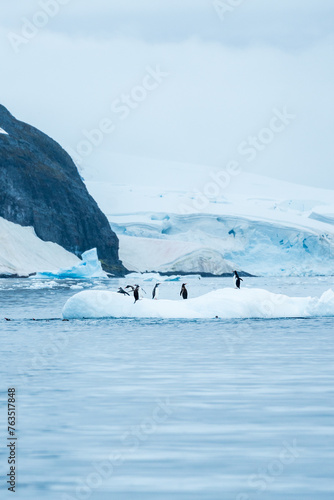 Group of Gentoo penguins playing around on Iceberg in Antarctica