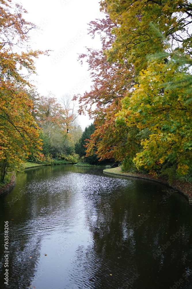 Vibrant and tranquil nature in Denmark Vibrant and tranquil nature in Denmark