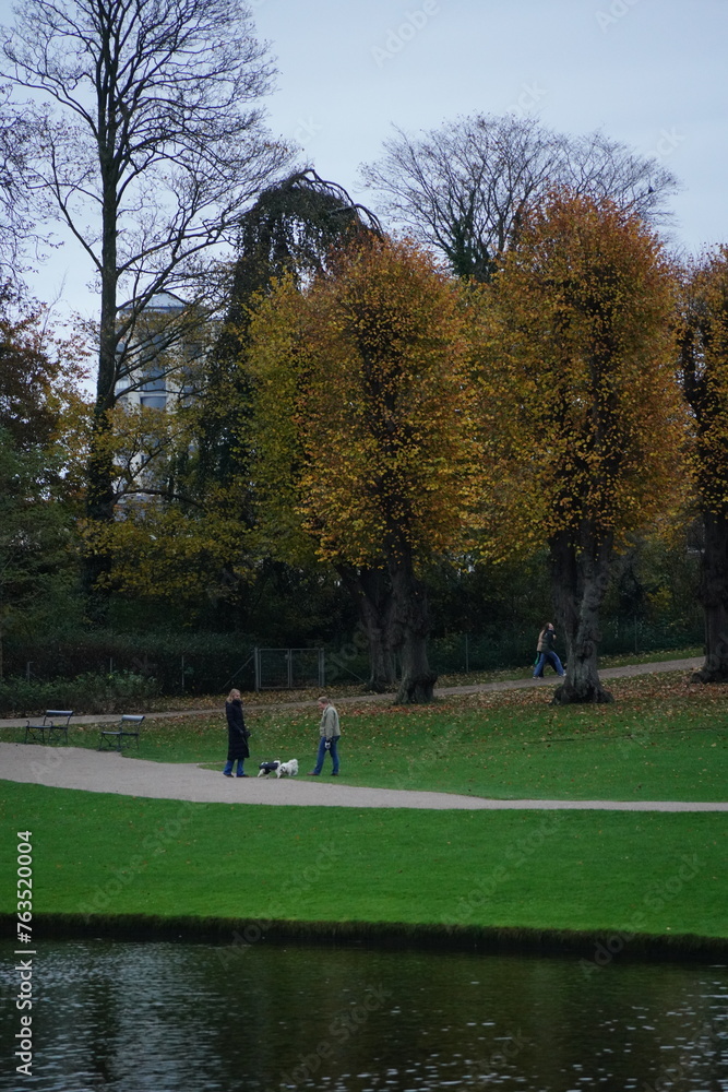 Fototapeta premium Vibrant and tranquil nature in Denmark