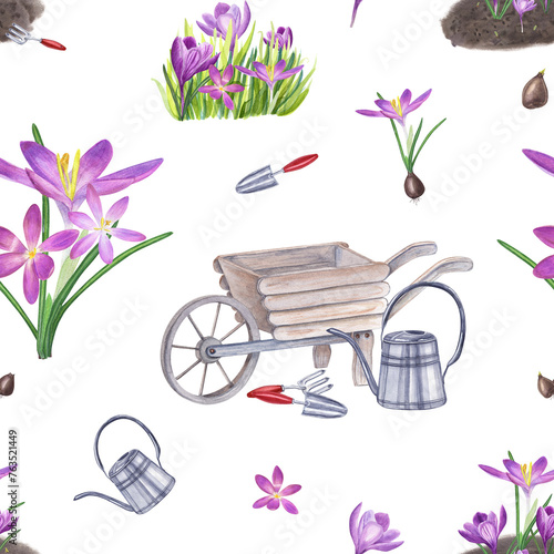 Spring seamless pattern. Crocus flowers, bulbs. Lawn with saffron. Garden handle tools, wheelbarrow, watering can. Planting flowers, watering. Watercolor illustration isolated on white. photo