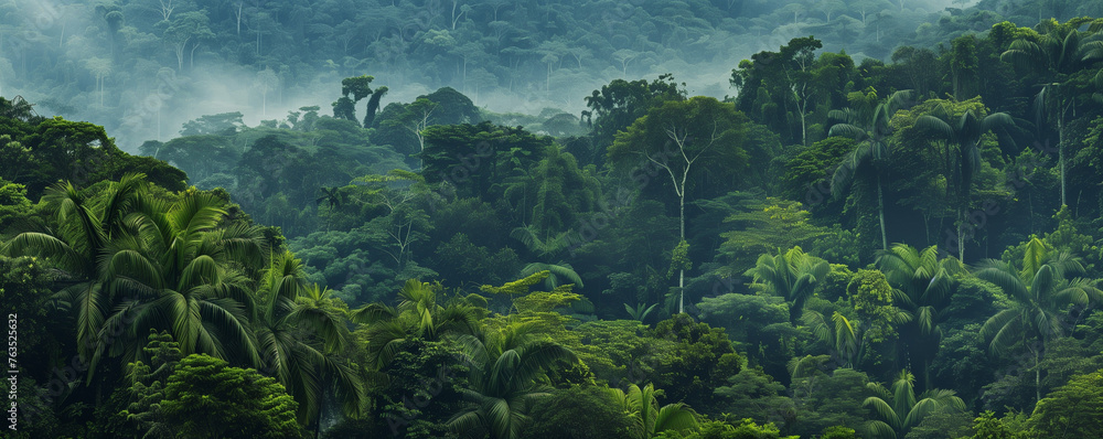 Native tropic amazon rainy forest. Eco concept Native tropic amazon rainy forest. Eco concept