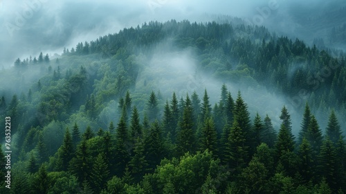 Misty Mountain Among Trees © Emiliia