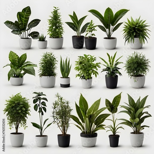 Plant Collection Isolated on White Background