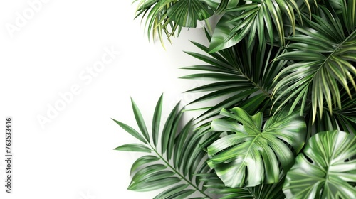 A lush green plant with leaves and a stem isolated on white background © Nico