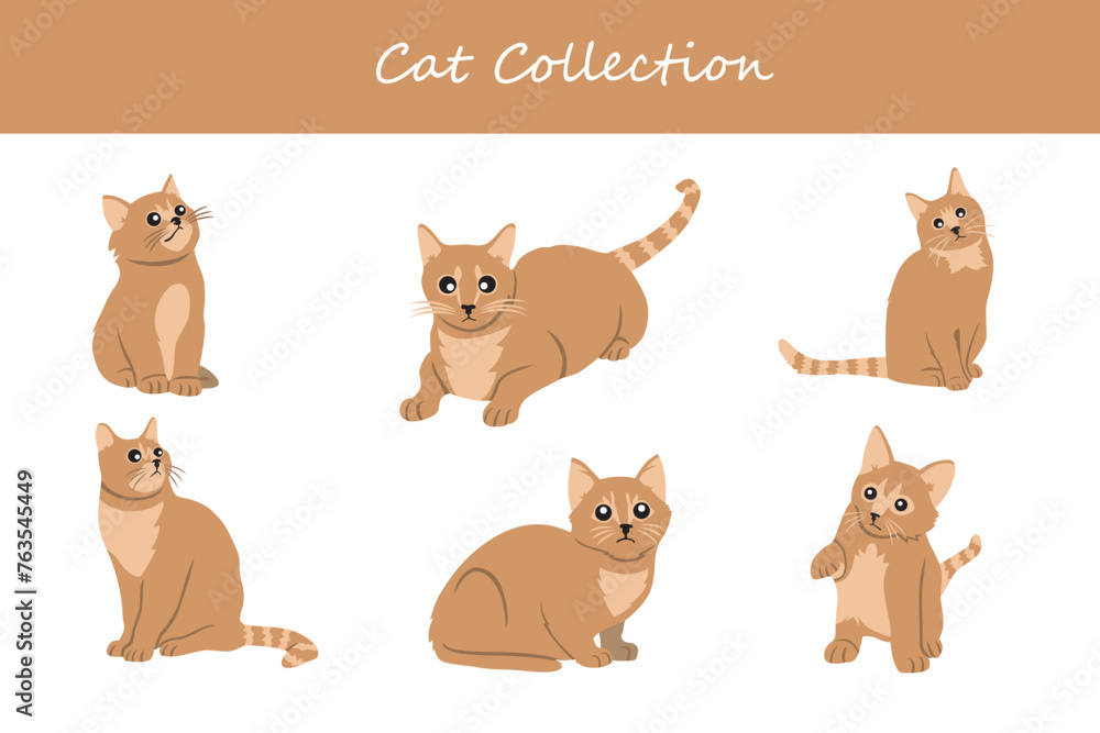 cat collection. Vector illustration. Isolated on white background.