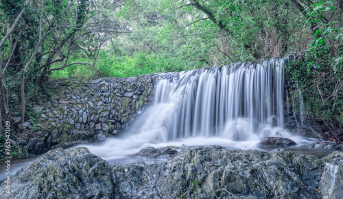 Enchanted Forest Waterfall